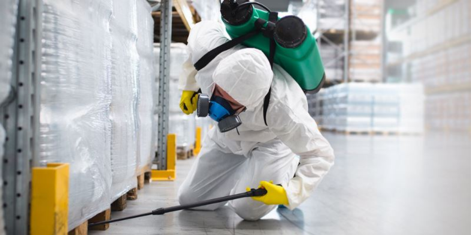 Inicio 10 FUMIGACIONES 3